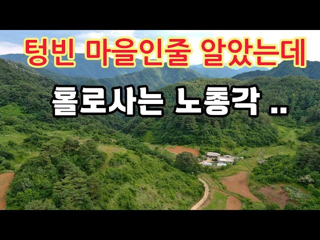 해발600m 모두 떠나버린 텅빈마을에 50대 나홀로자연인 이제는 짝을 만나고싶다! #오지산골빈집 #자동차여행