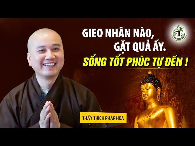 Gieo nhân nào gặt quả ấy, sống tốt Phước tự đến - Thầy Thích Pháp Hòa