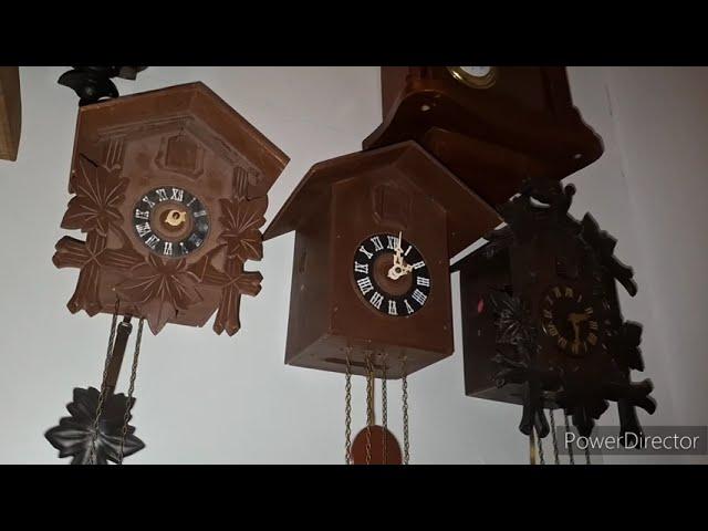 My Clock Collection #7  (27th of September 2024)