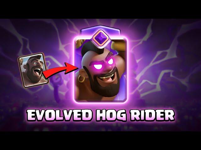 EVOLVED HOG RIDER | Clash Royale