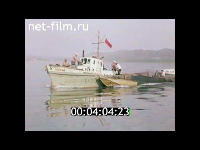 1981г. село Алтайка  Зыряновский район Восточно- Казахстанская обл.