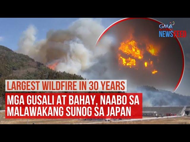 LARGEST WILDFIRE IN 30 YEARS. Mga gusali at bahay, naabo sa malawakan... | GMA Integrated Newsfeed