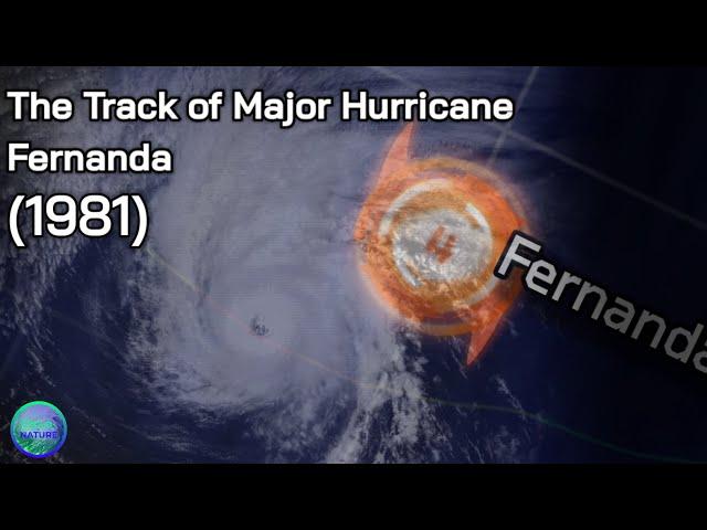 Track of Hurricane Fernanda (1981)