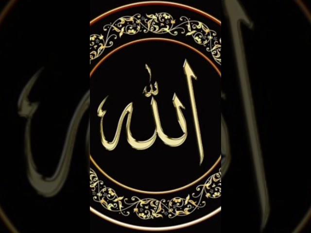 Tasbih l #ibadat #islam #islamic #india #shorts #short #viral #viralshorts #trending #allah