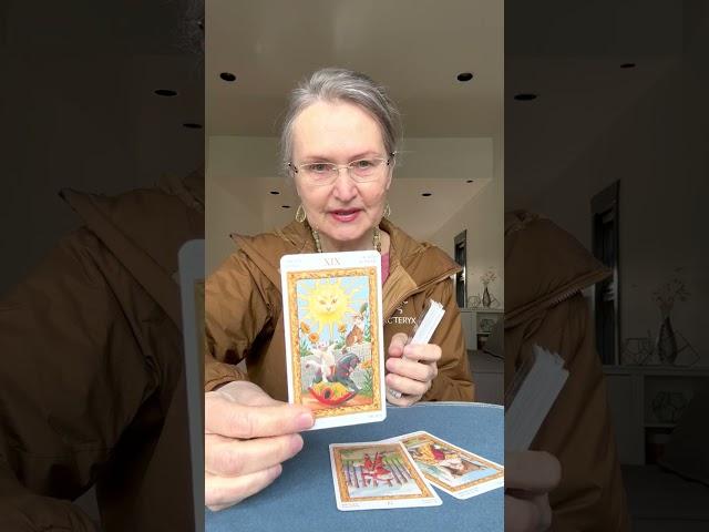 Письмо судьбы #колена