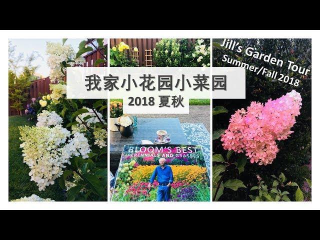 我家的小花园菜园(2018夏秋) | Small Garden Tour Summer and Fall 2018 | Real Simple Jill