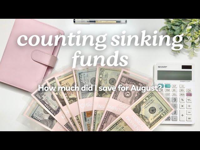 AUGUST SINKING FUNDS UPDATE | How Much Did I Save | Cash Envelope System | MONETS MONEY