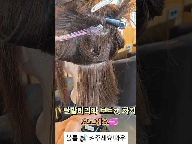 보브컷과 단발머리 차이  요고에요 요로케#사모님머리#파마#컷트#사모님파마 #드라이#보브컷#보브단발 #스타일링#뷰티#여자머리#여자머리추천#헤어스타일#헤어#haircut#shorts