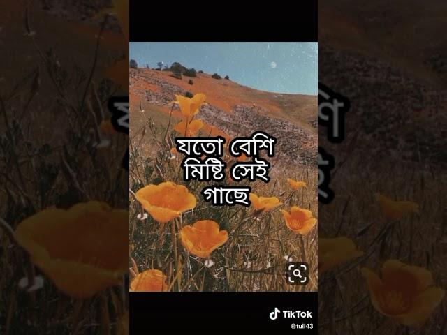 Bishnu Roy