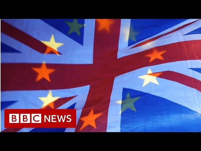 Full Brexit journey in under two minutes - BBC News