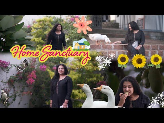 Home Sanctuary - Promo Video | Anu Sithara Vlogs | Coming Soon