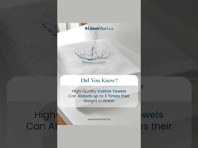 Soft, Absorbent & Durable – Towels Made for Hospitality! 
