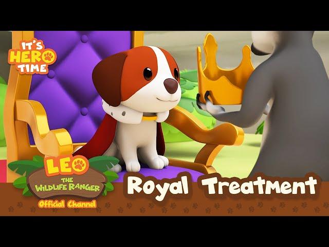 Royal Prince Hero!!  | It's Hero Time | BRAND NEW SERIES! | Leo the Wildlife Ranger