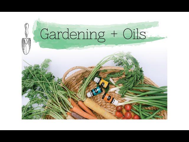 Using Essential Oils in your Garden for more success