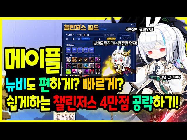 [메이플] 2025년 여름방학! 찐 뉴비도 ‍️ 4만점은 그냥 먹는다! 쉽게 배우는 ️ 챌린저스 서버 4만점 달성 공략하기!