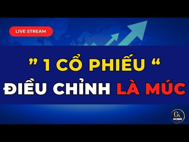  LIVE STREAM (SỐ ĐẶC BIỆT CHO NĂM 2025): 1 CỔ PHIẾU ĐIỀU CHỈNH LÀ PHẢI MÚC NGAY TRONG THÁNG 3 NÀY!!