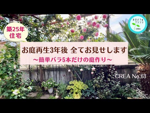 お庭再生3年後の全てをお見せします簡単バラ５種類だけの庭作りNo.63.2024.5.15撮影