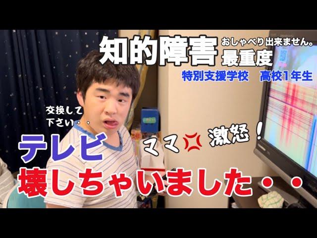 【知的障害・最重度】テレビ壊しちゃいました・・ママ激怒！/特別支援学校　高校1年生/おしゃべりできません。