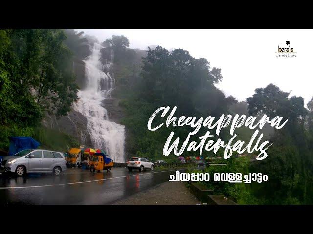 Cheeyappara Waterfalls, Idukki