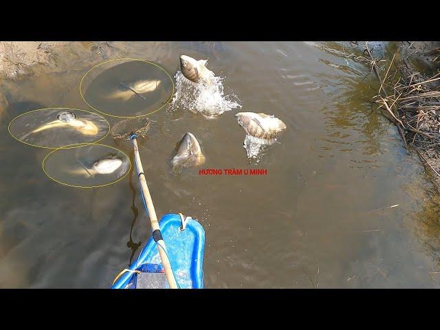 Fishing Fish || Cận Cảnh Kích Cá Hút Tận Vợt Đẹp Như Mơ