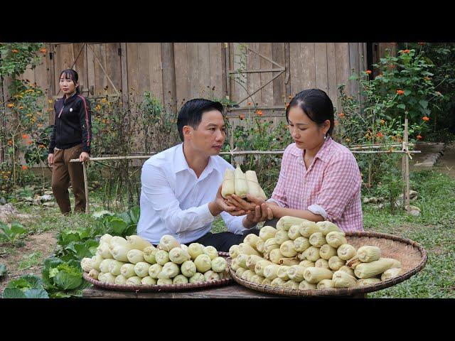 An & Her Maid Went To Harvest Corn - Husband went to check work at the store - Ly Phuc An