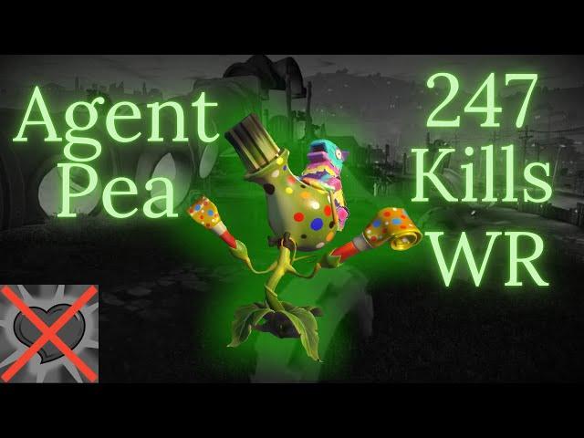 Agent Pea 247 Kills No Pocket PC World Record PvZ GW2