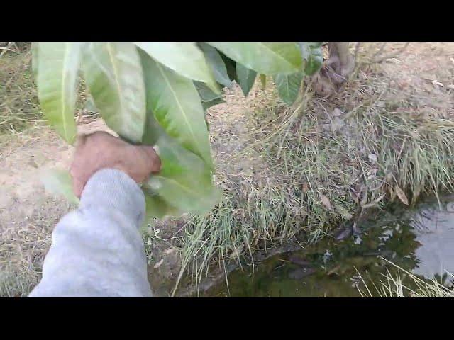 ASMR  SMM Relaxing Sounds trigger tingles smooth sounds vibs #asmr #asmrvideo #asmreating