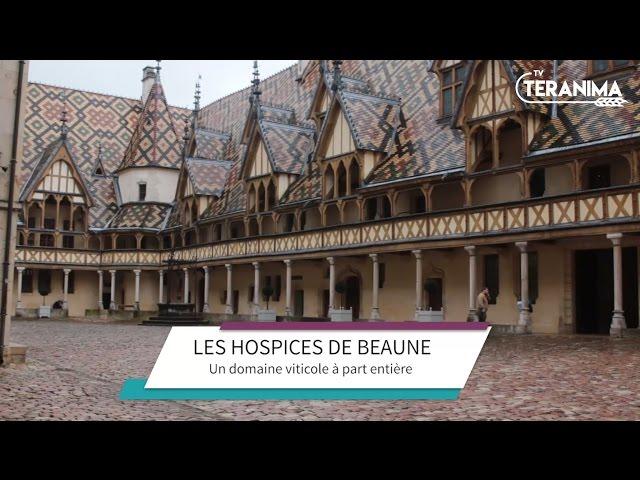 Hospices de Beaune : l'histoire d'un domaine unique - Teranima TV