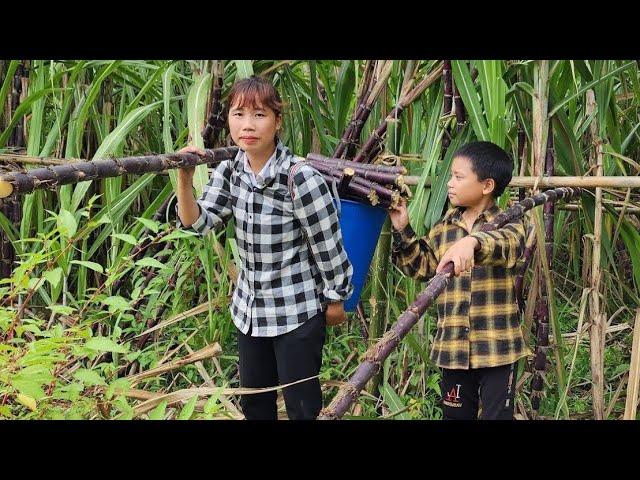 20 take children to school - harvest fruit - cooking - gardening - kitchen repair _Lý Thị Xuân