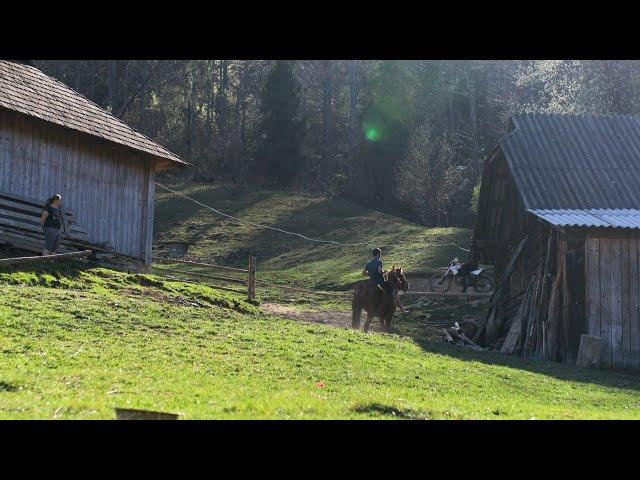 5 Days of Remote Mountain Life. Traditional Cooking and Daily Chores Beyond Civilization