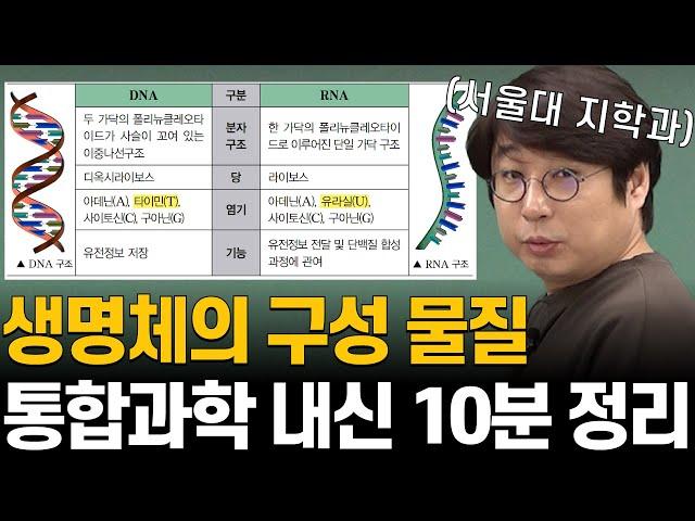 DNA에는 없고 RNA엔 있는 '우라질'... 우라질 진짜 뭐야?!(ft. 생명체의 구성 물질, DNA, RNA)