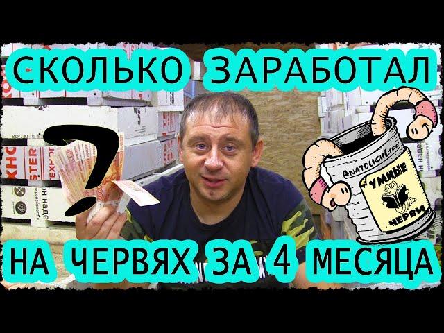 Разведение червей. Сколько заработал на дендробене за 4 месяца. Бизнес дома для мужчин.