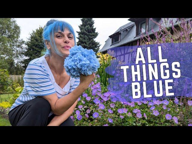 Such Easy and Pretty BLUE Plants for Your Garden