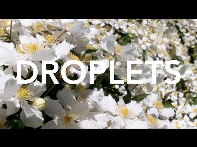 Droplets (Colbie Caillat) - Covered by Rachel Hamilton and Michael Lee
