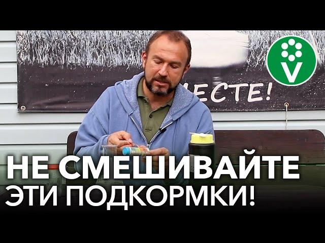 НИКОГДА НЕ СМЕШИВАЙТЕ ЭТИ 2 ПОПУЛЯРНЫЕ ПОДКОРМКИ для томатов, перцев и огурцов!