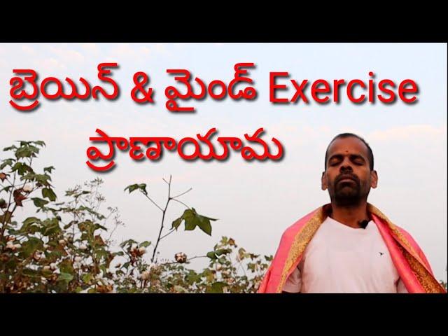 | Bramari Pranayama | Brain Exercise ! Swami Vivekananda Yoga