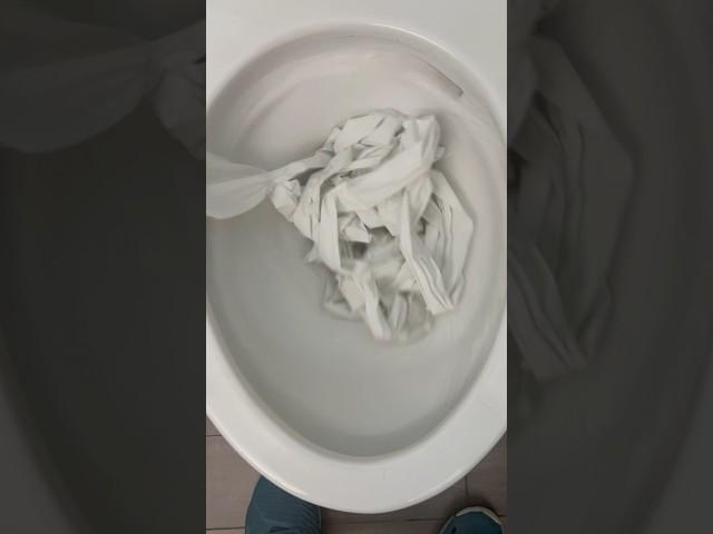 Toto drake tornado flush toilet tp test