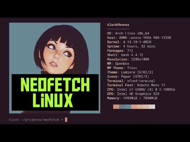 How to Install and use Neofetch in Linux