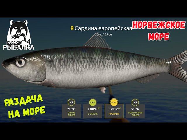 1000 МОНЕТ В ЧАС НА НОРВЕЖСКОМ МОРЕ, БЕШЕННЫЙ ФАРМ РУССКАЯ РЫБАЛКА 4 РР4