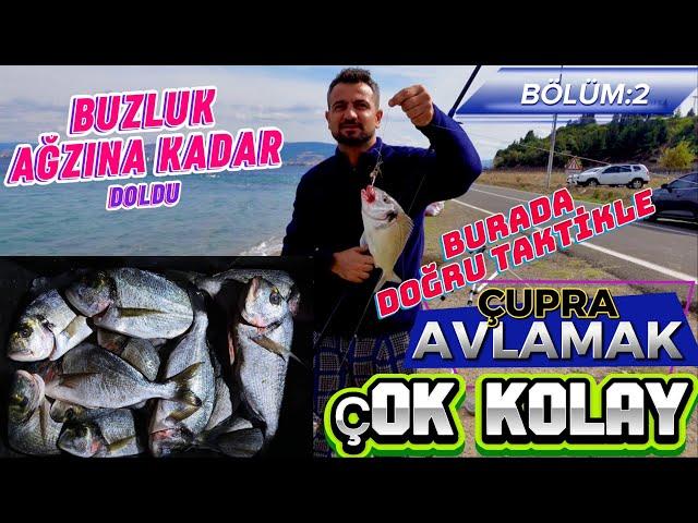 ÇUPRA AVLAMA TAKTİĞİ /Çanakkale #fishing #çupra #balıkavıvideoları #çanakkale #balıkavı #surfcasting