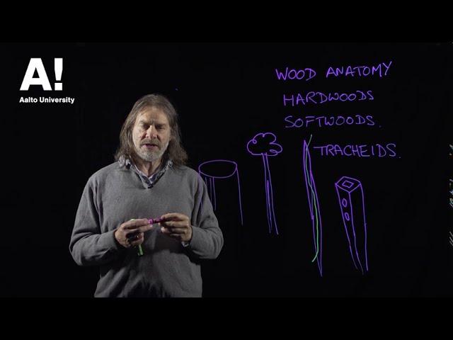 Wood anatomy (1) Hardwood and softwood structure 1