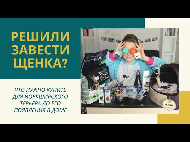 Что нужно щенку в первые дни? Как я готовлюсь к появлению йоркширского терьера, что купила для йорка