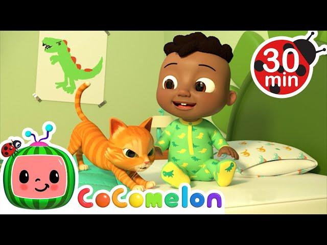 This is the Way! | Singalong with Cody! CoComelon Kids Songs