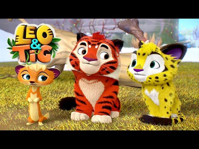 LEO and TIG   Mid-Autumn Festival — Episodes collection  Moolt Kids Toons Happy Bear