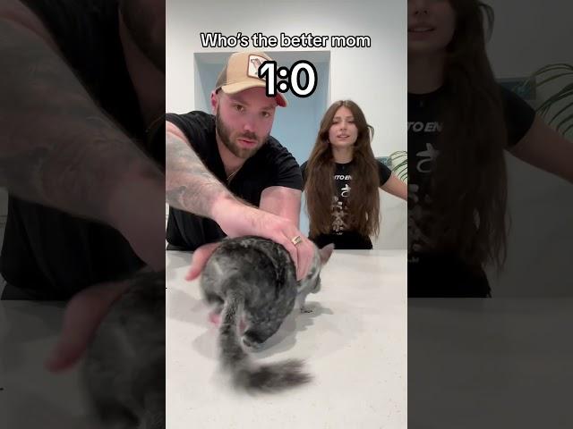 My first chinchilla ever BETRAYED ME