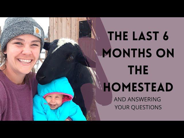 The Last 6 Months on the Homestead (Plus Answering Your Questions)