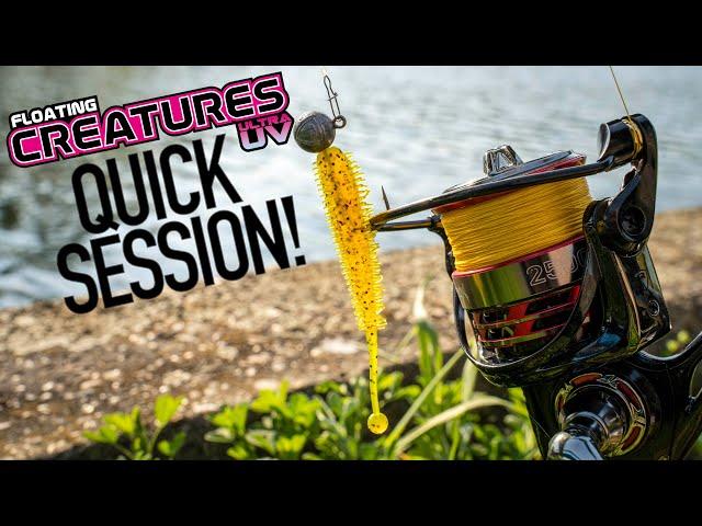 QUICK PERCH SESSION | Using the Ultra UV Floating Creatures to catch perch