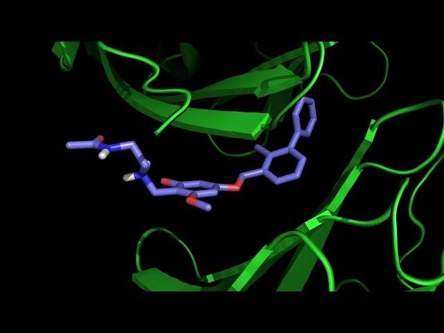 Molecular Docking of Ligand Candidates on PD-L1 Protein Structure