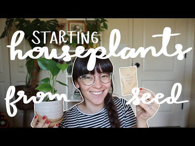 Starting Houseplants From Seed | The whole 4 month journey!