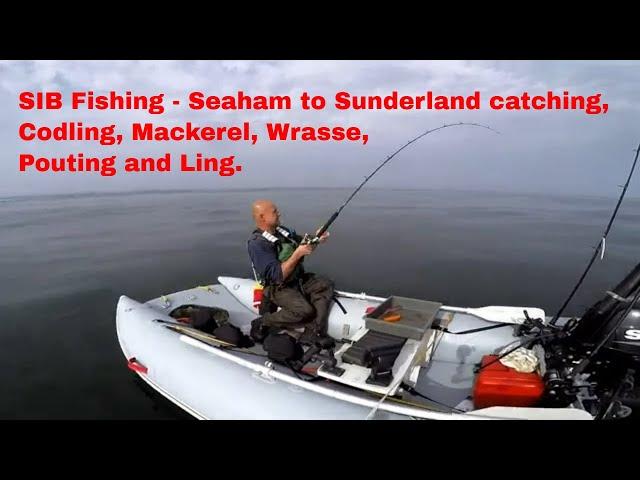 SIB Fishing UK, Seaham to Sunderland, Mackerel, Wrasse and Ling on lures and bait.